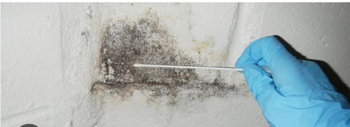 Mold inspection and swab sampling on a wall in a NYC apartment