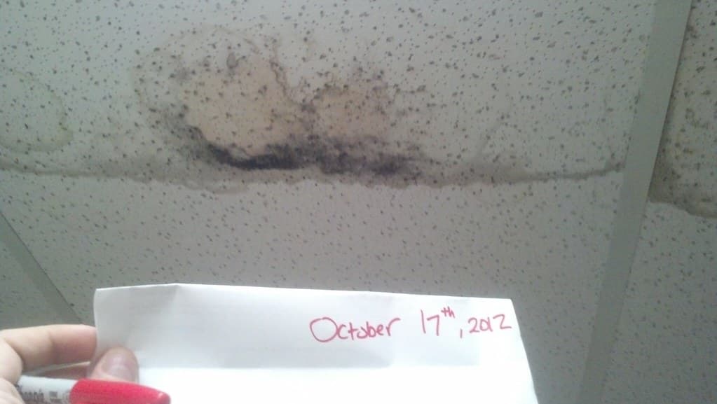 Dark mold staining spreading across ceiling tile