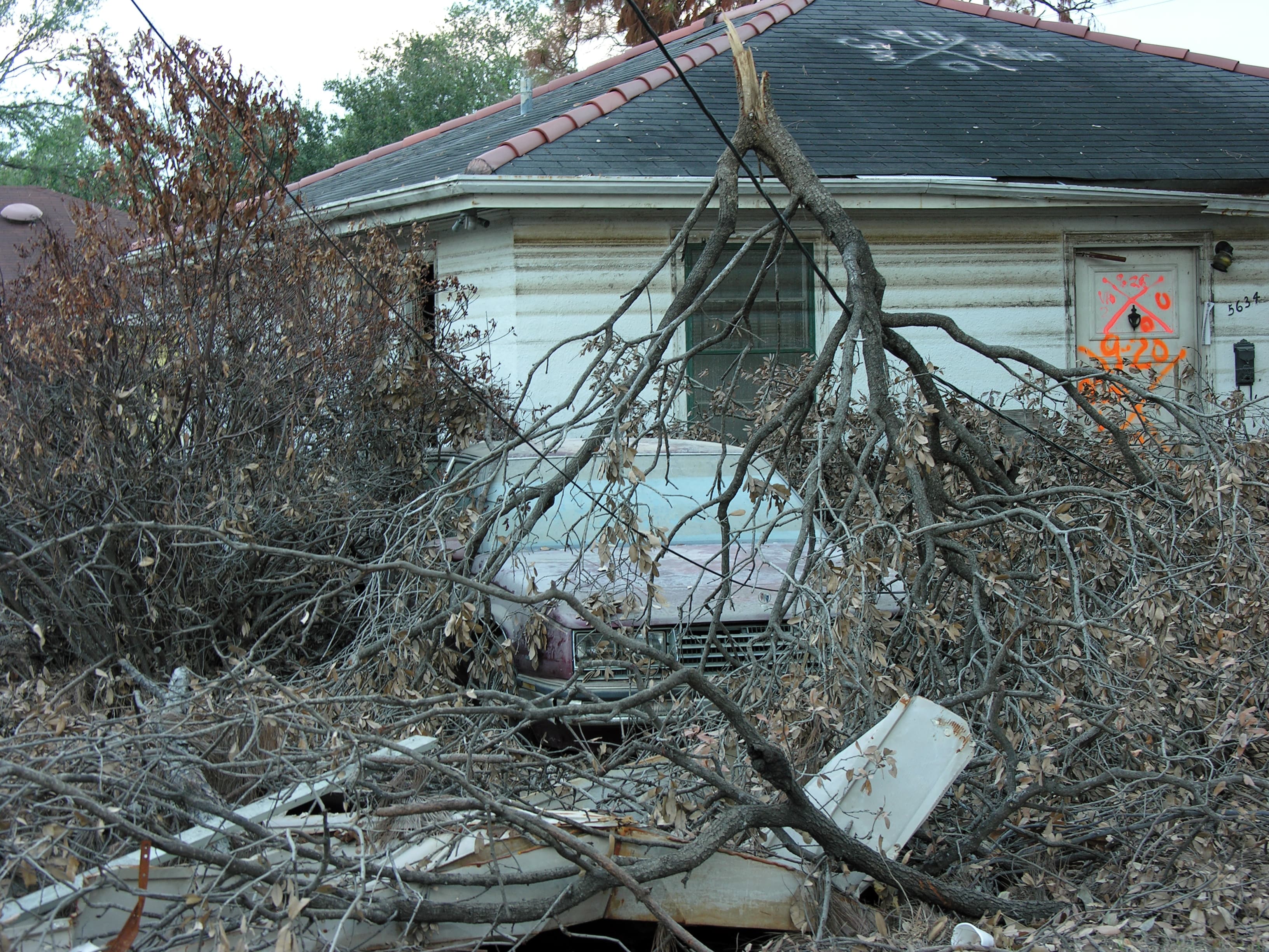 Storm-downed trees blocking house entrance